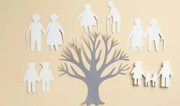 Profesyonel Soybilim Araştırmaları